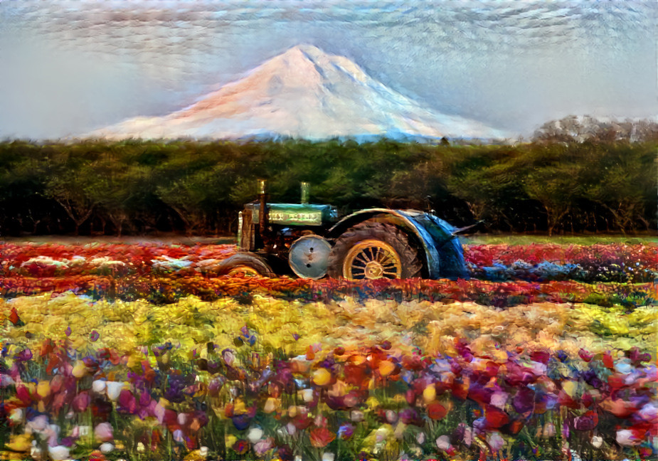 HARVESTING THE SPRING FLOWERS