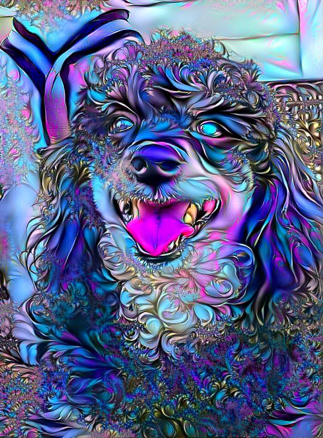 poodlebluemix