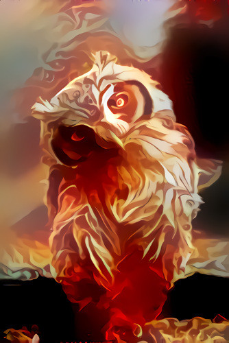 Owlet_on_fire