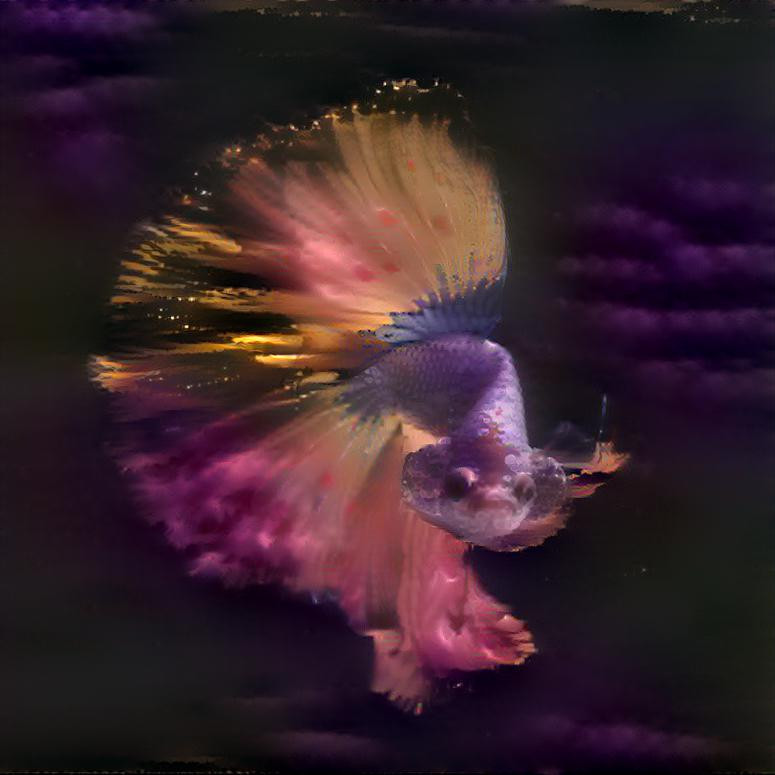 Purple Cloud Betta