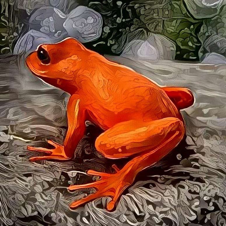 Frog