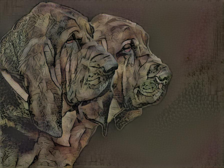 My bloodhound boys Vondracek & his son Peppino