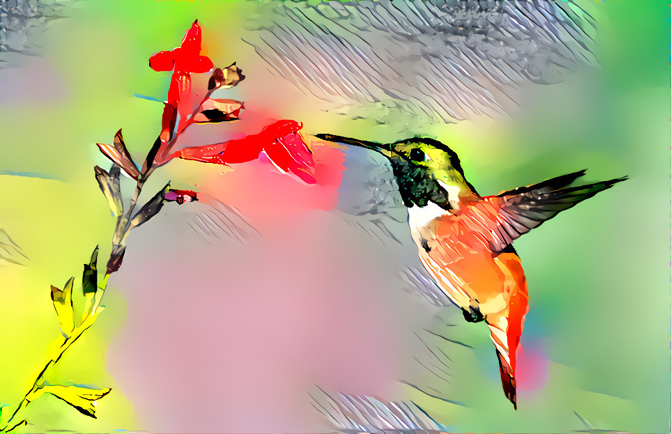 Hummingbird