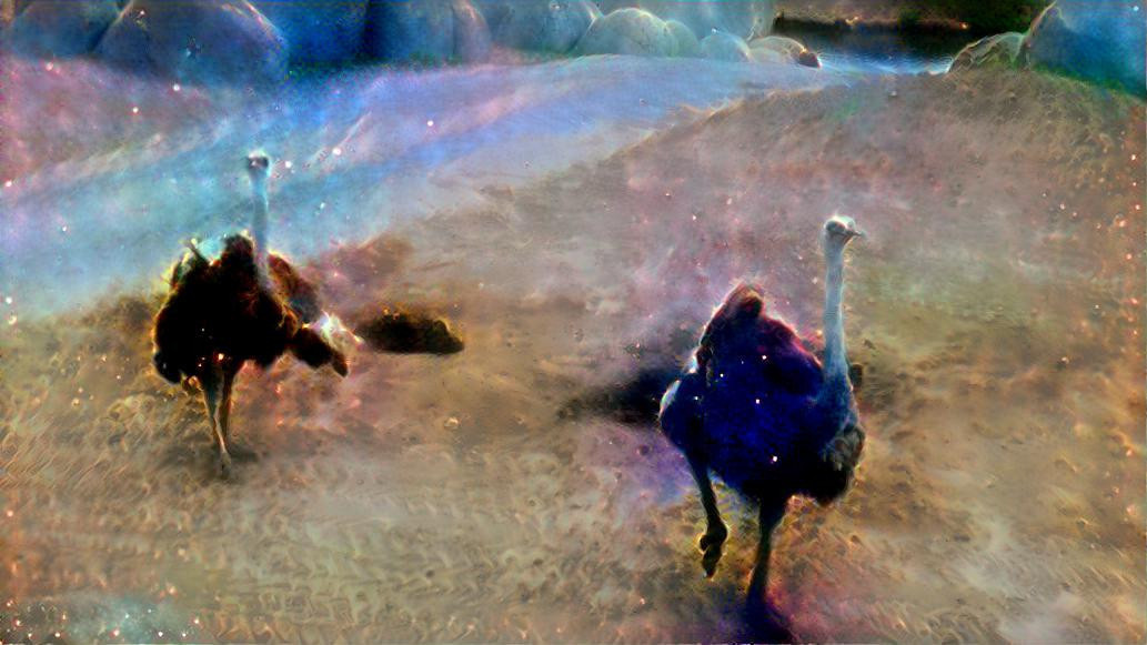 Cosmic-coloured Ostriches