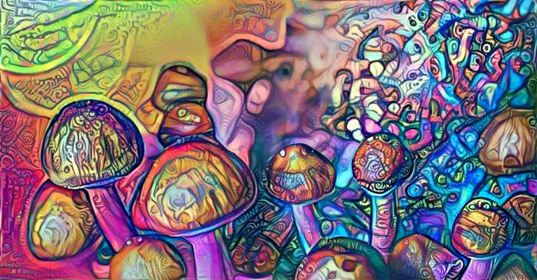 Magic mushrooms