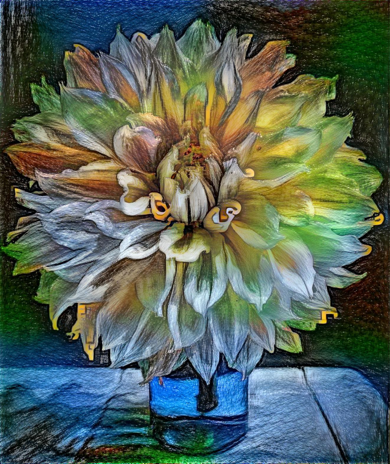 Backyard Dahlia