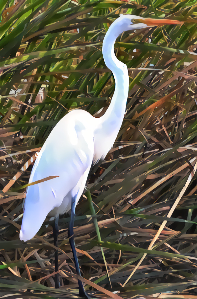 Great Egret