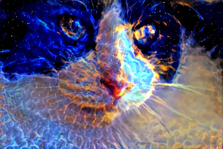 Cat nebula