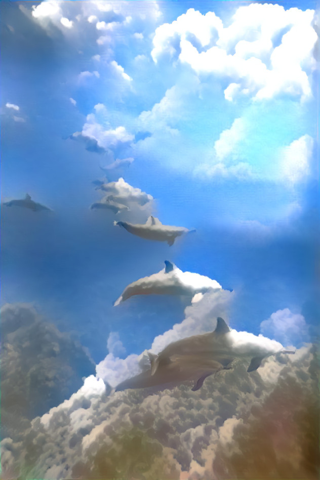 Sky Dolphins