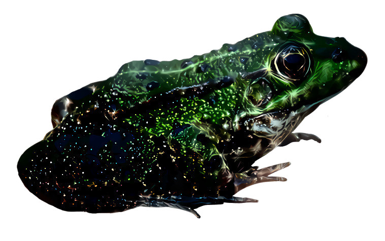 Sparkly Frog