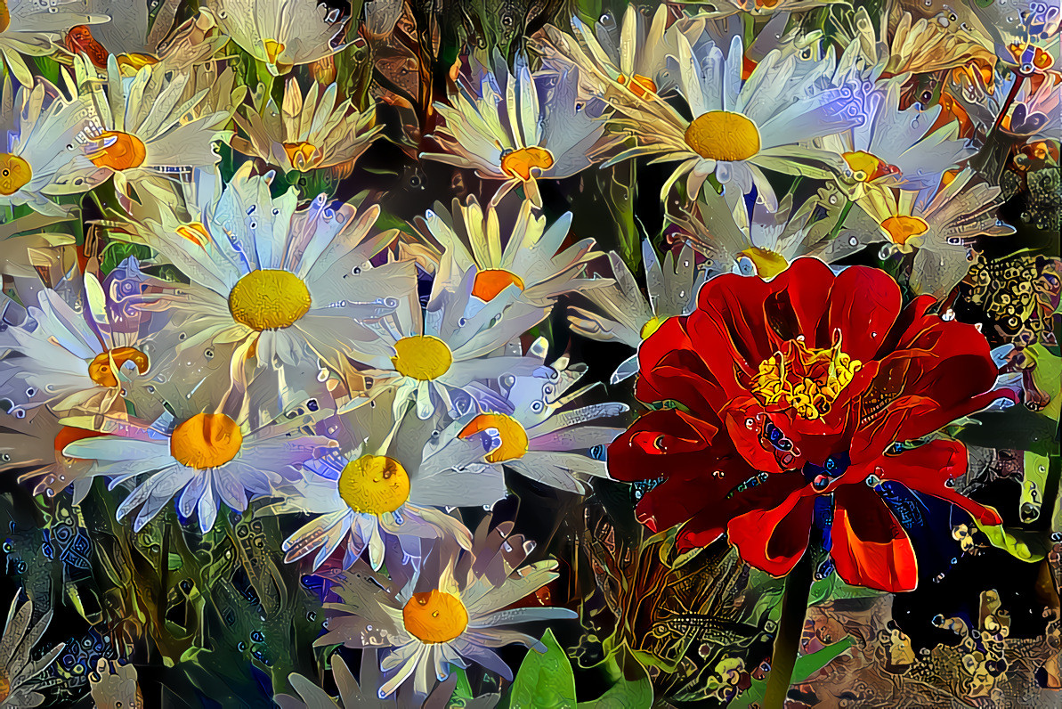 Daisies and Zinnia