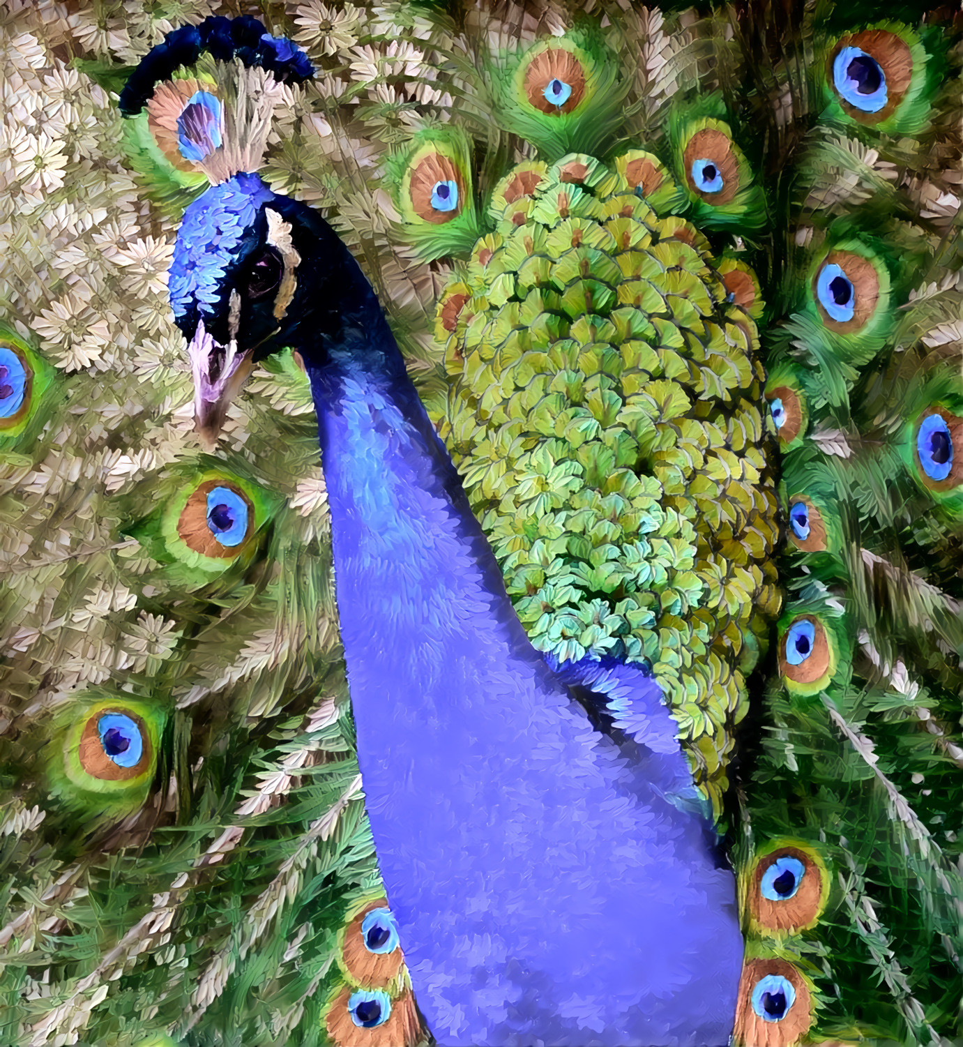 Blooming Peacock