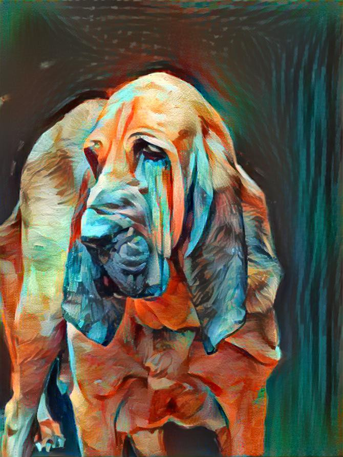 My bloodhound boy Robinson