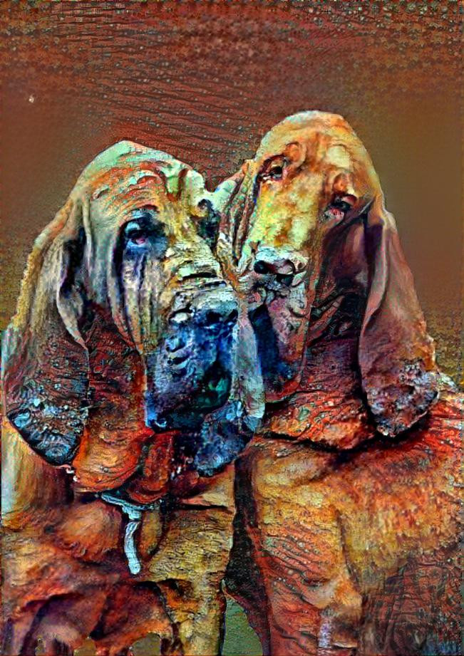 My bloodhound boys: Peppino & Rufus