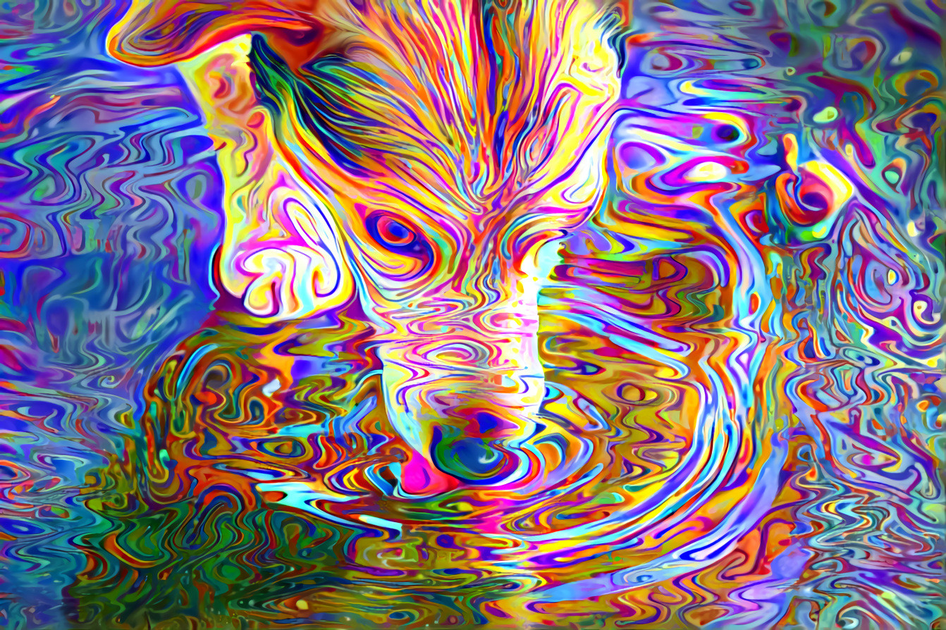 More dog art