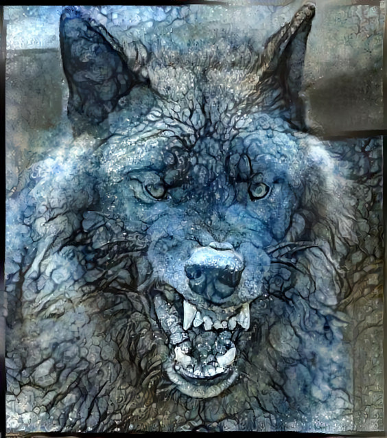 wolf - grey & blue