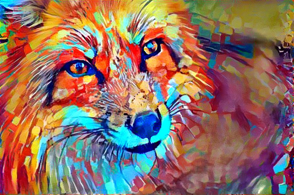 Red Fox