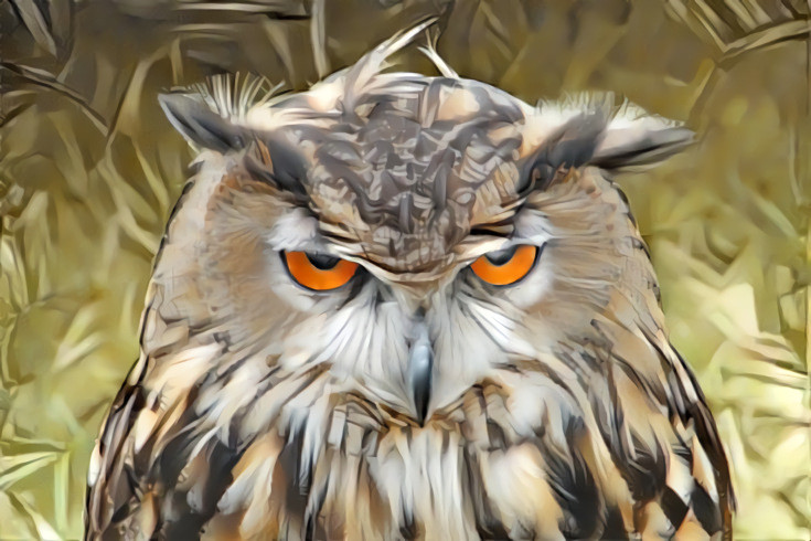 Deep Dream: Owl With Attitude (Ver.2)