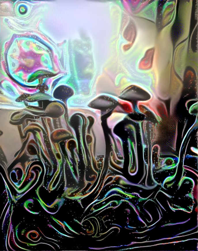 mushroom dream