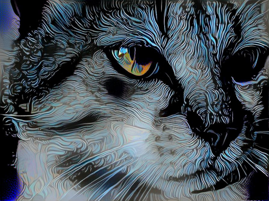 paint of a cat