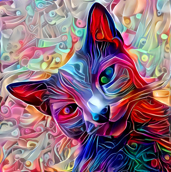 Kaleidoscope Cat