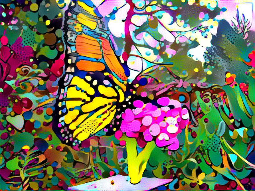 BUTTERFLY COLOR