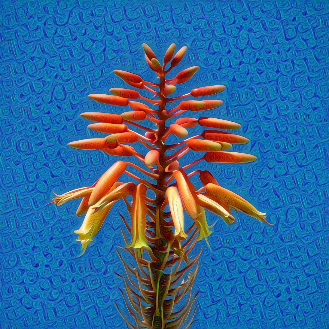 Tropical Flower, Blue Sky