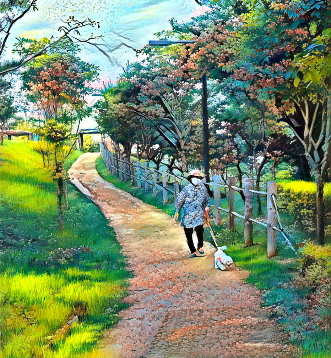 Walk with dog