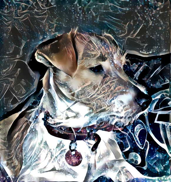 Mystical Doggo 4