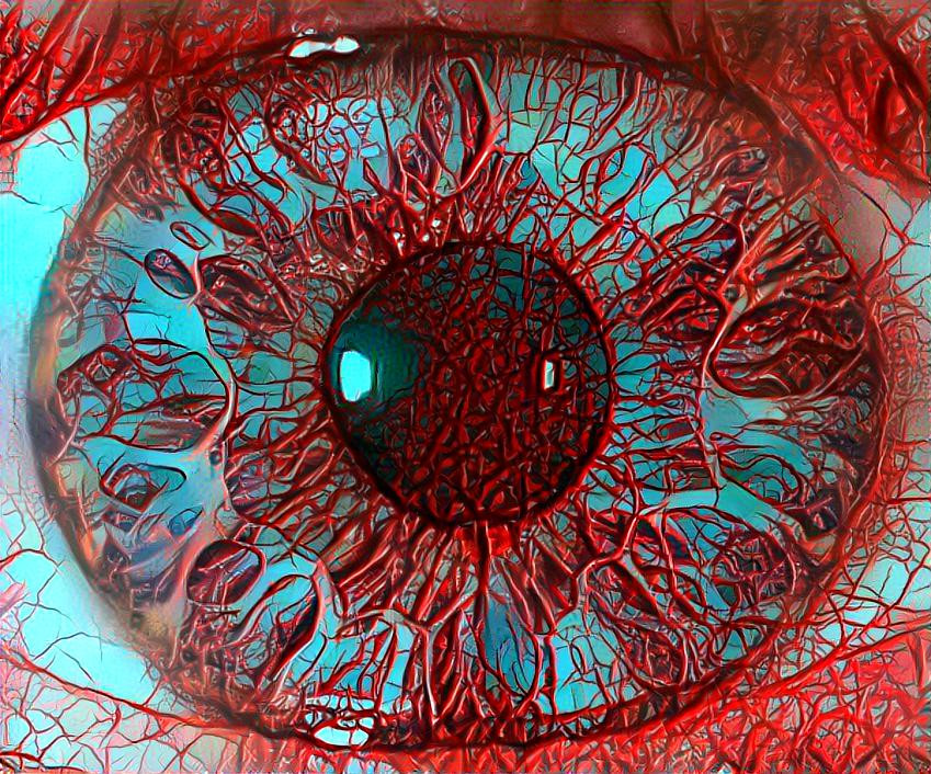 eye