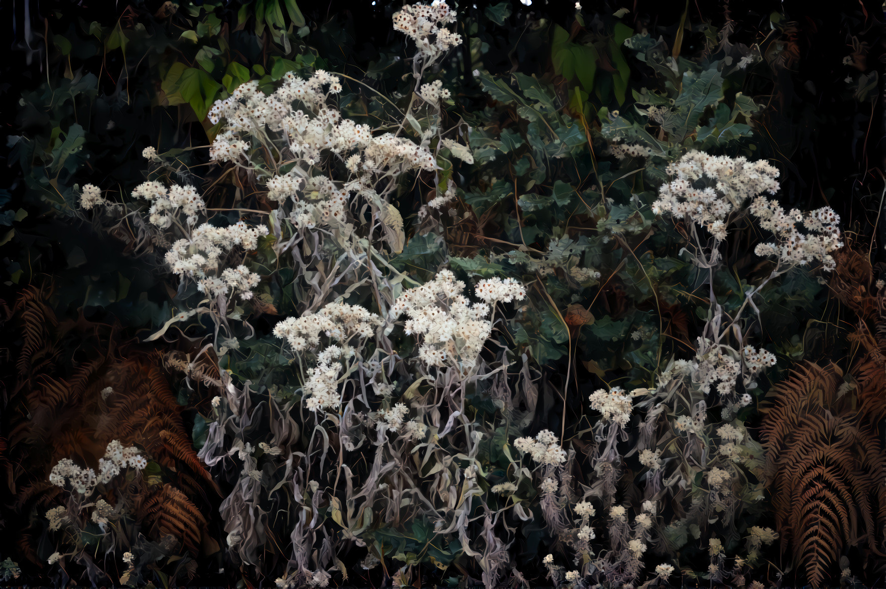 Winter, Tropical Flowers