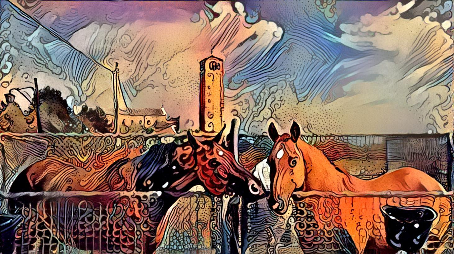 Horses 