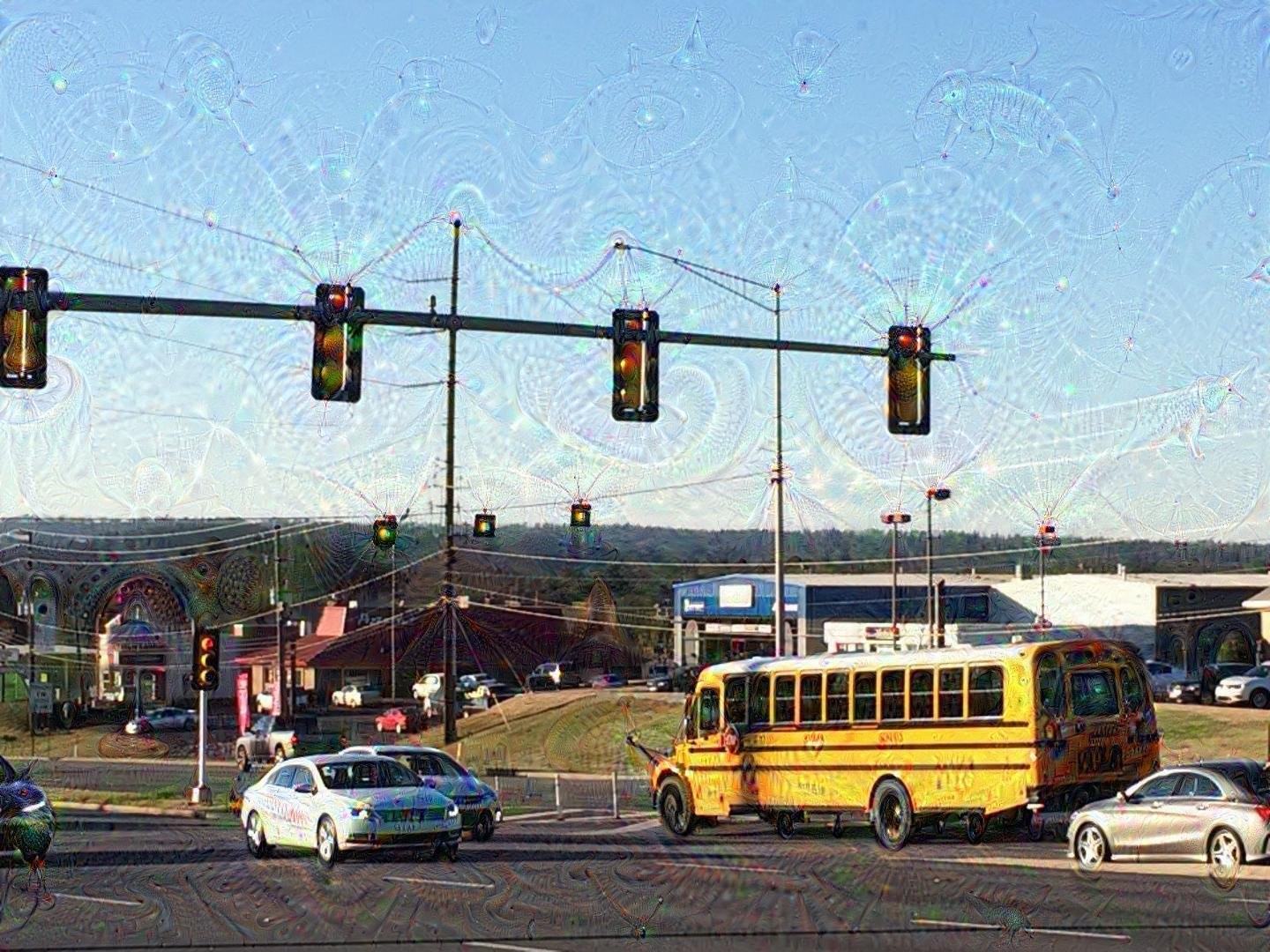 School Bus vs car