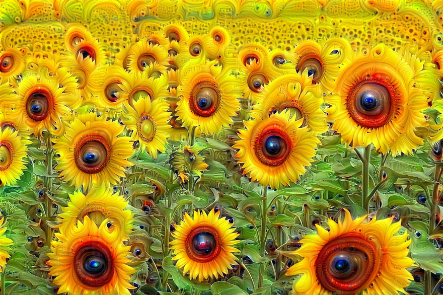 Surreal Sunflower FIeld