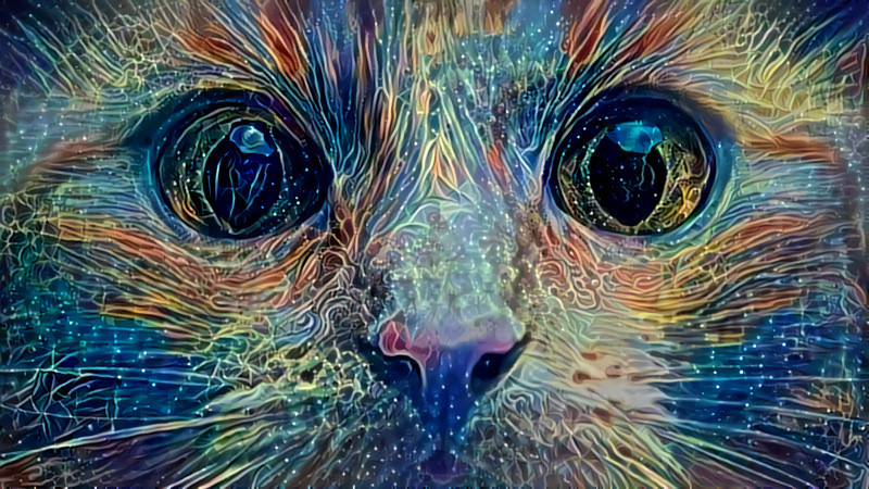 Deep Dream: Startled Cat