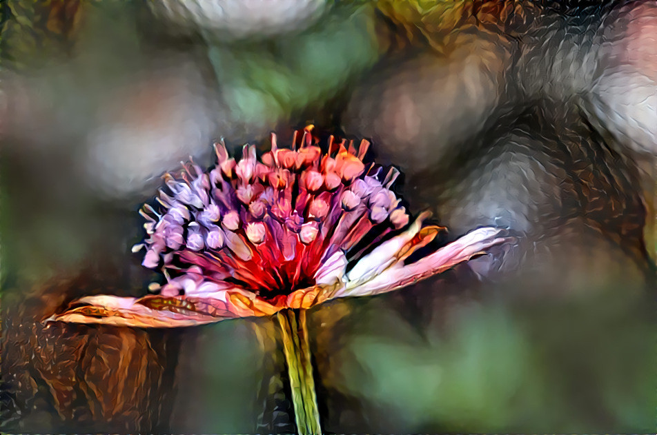 Hattie's Pincushion