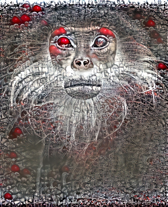 TerminaMonkey