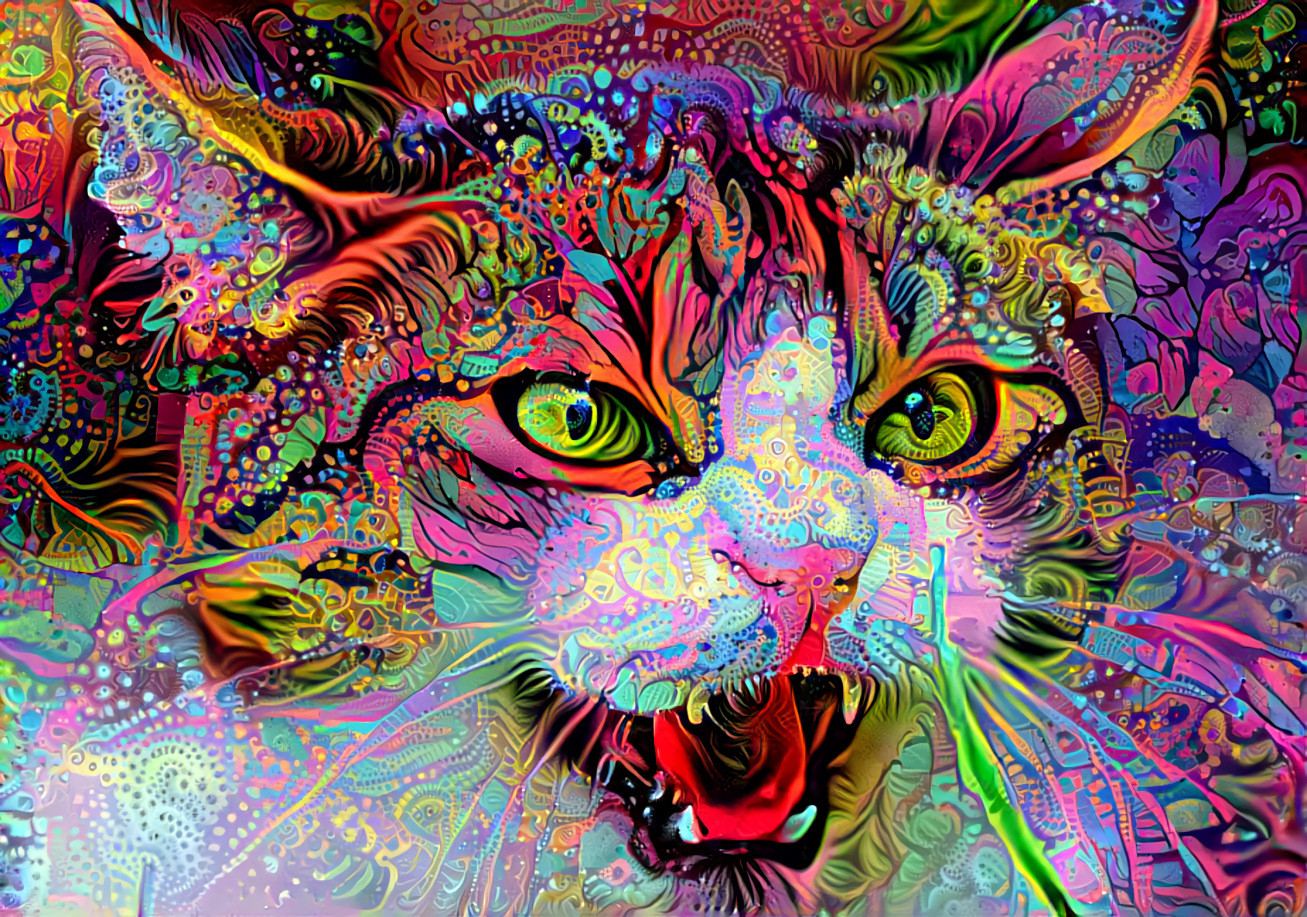 color cat