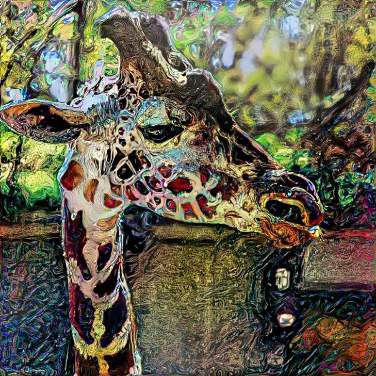 Giraffe 