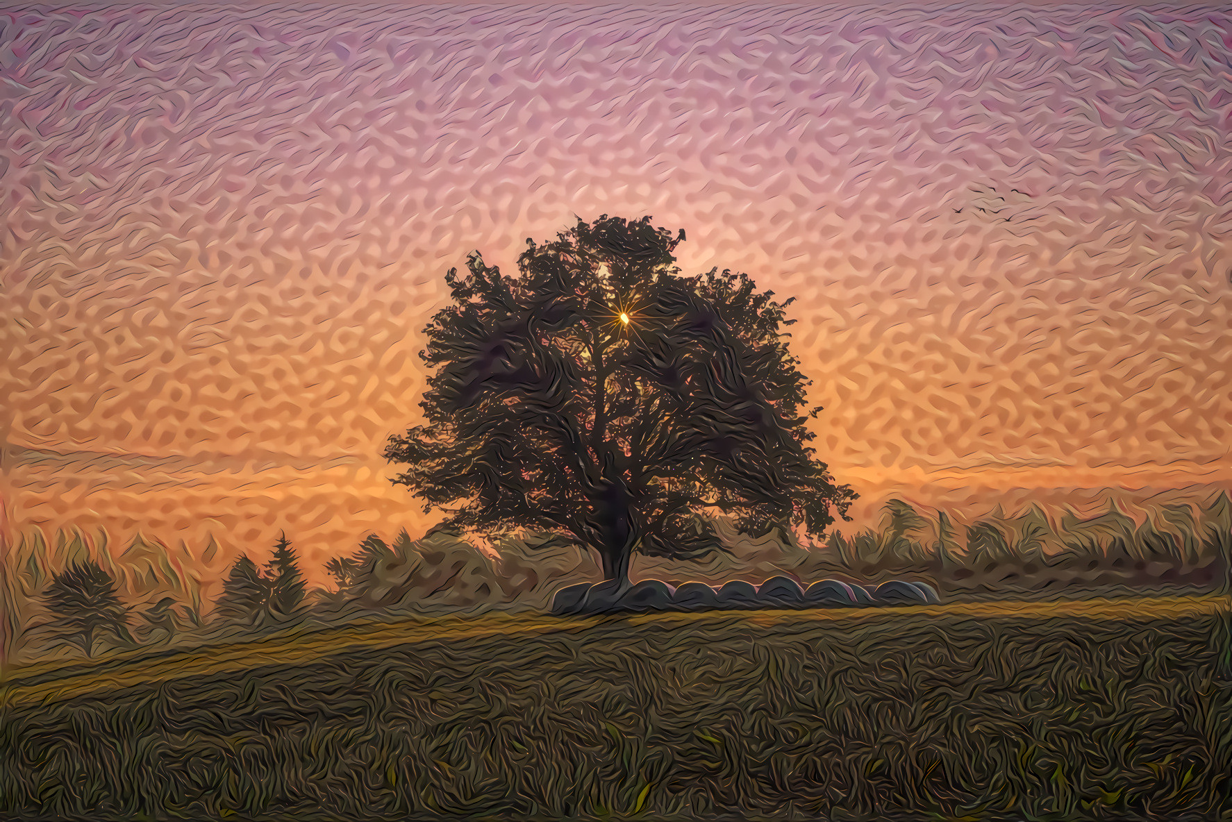 Tree and Hay Bales at Dawn