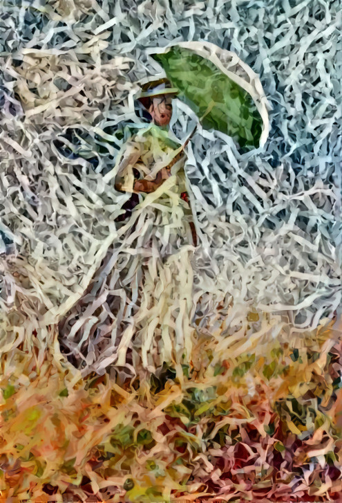 Woman With Parasol and Shredded Paper