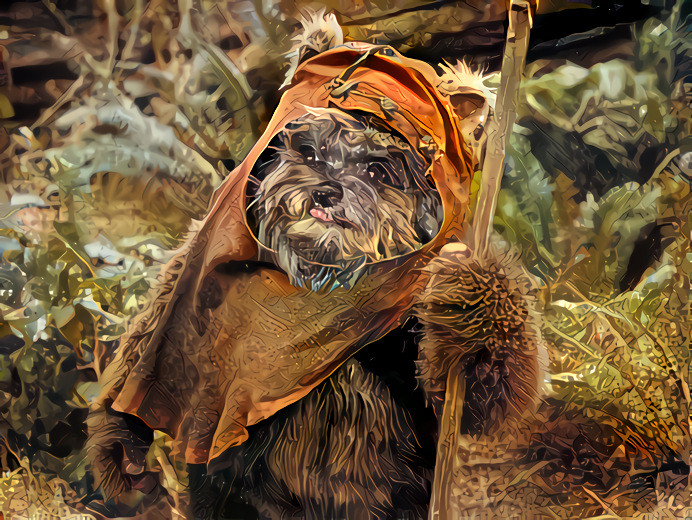 My Lulú is an Ewok