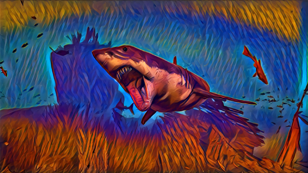 Shark Attack