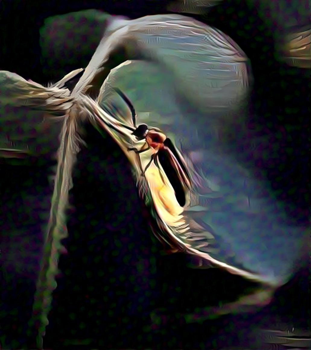 Lightning Bug