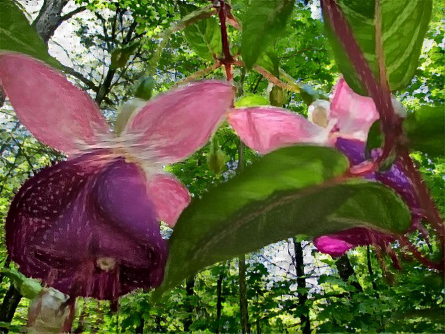 Flower Blooms Among The Trees