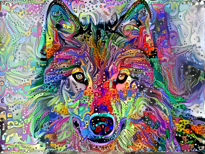 Wolf