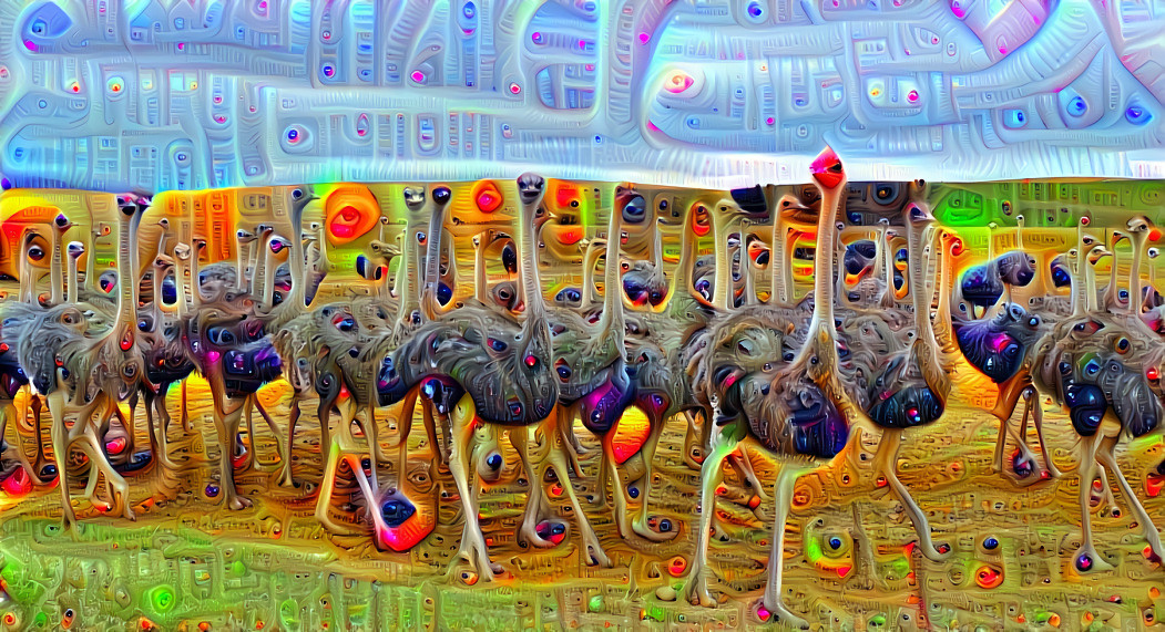 Ostriches