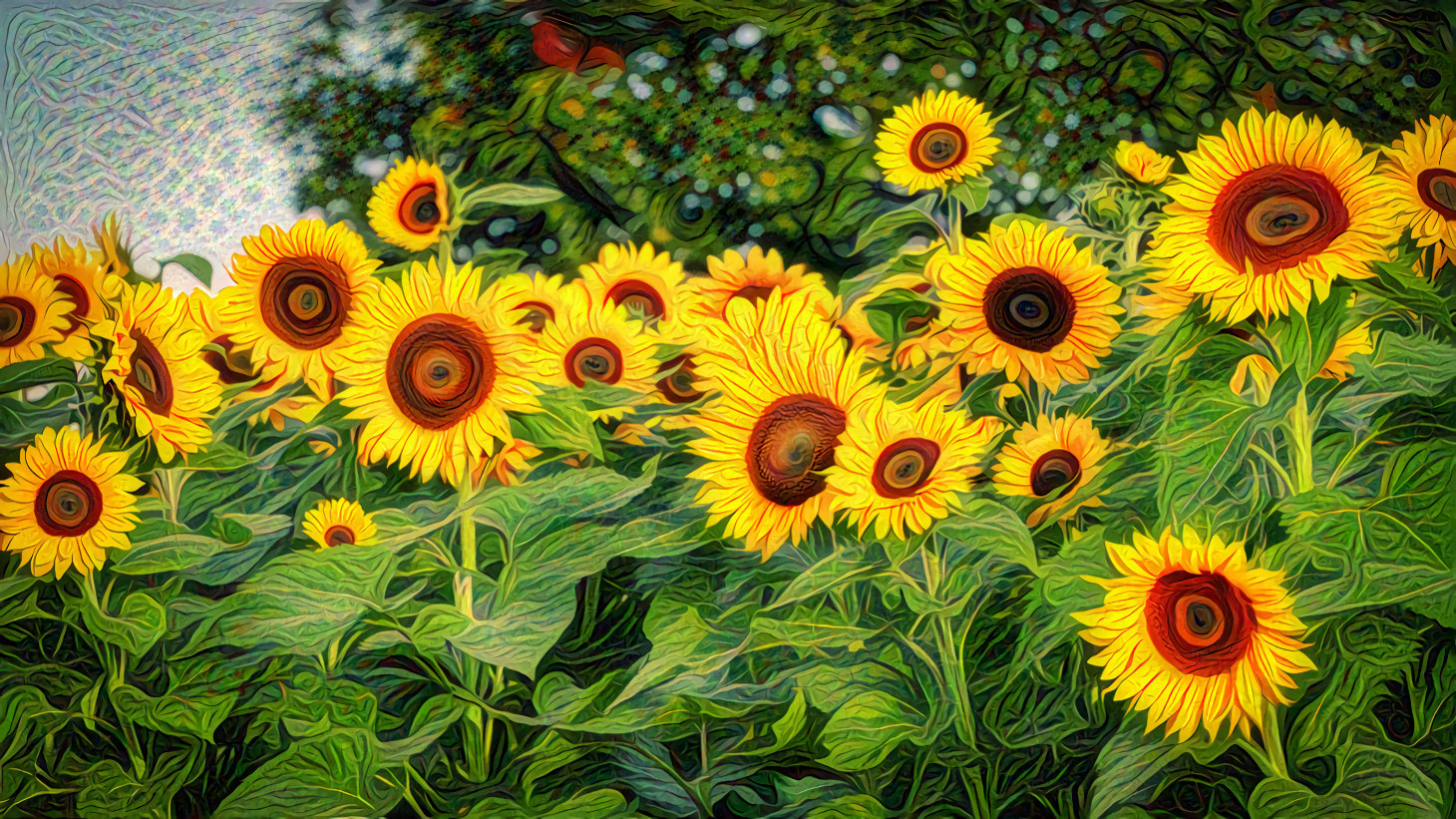 Autumn Sunflowers