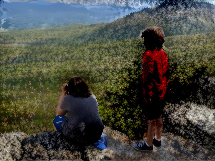 Fractalized Children on a Mountain