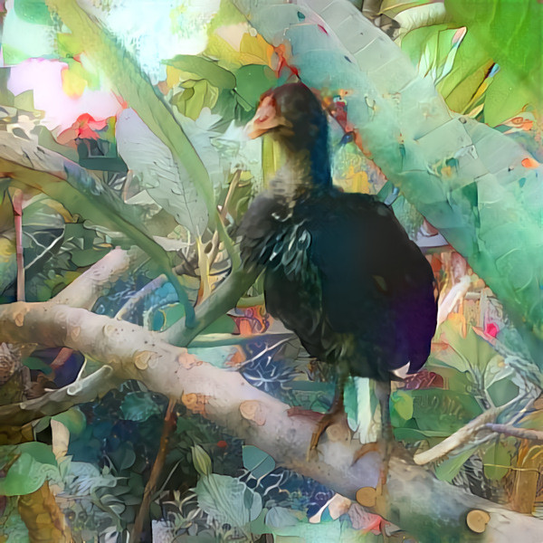 Baby rooster on a tree